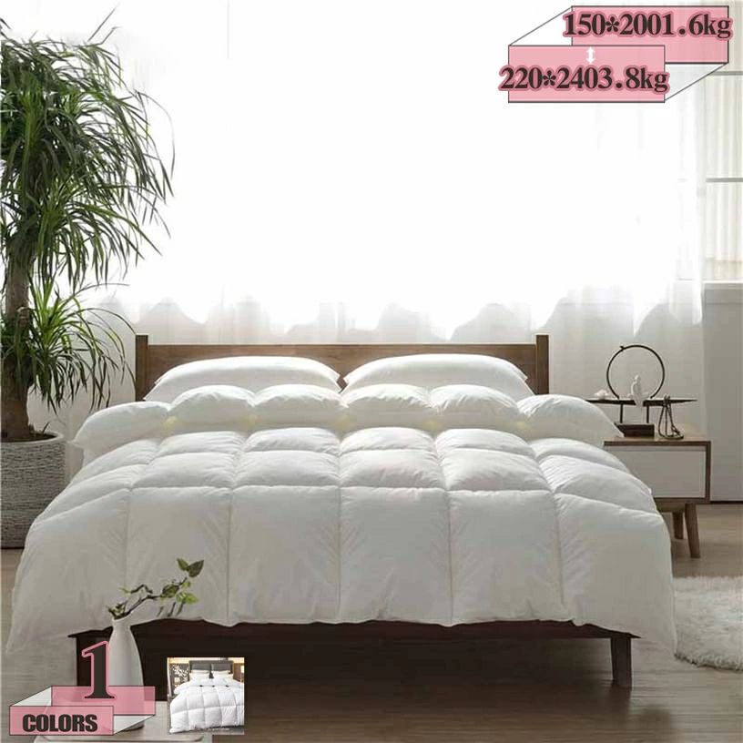 掛け布団 ロマンス小杉 羽毛布団ダブル」の人気商品一覧 | 安い商品を