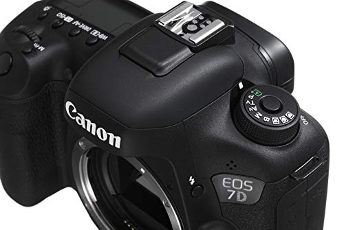 楽天市場】キヤノン EOS 7D II ブラック : TalesStore 楽天市場店