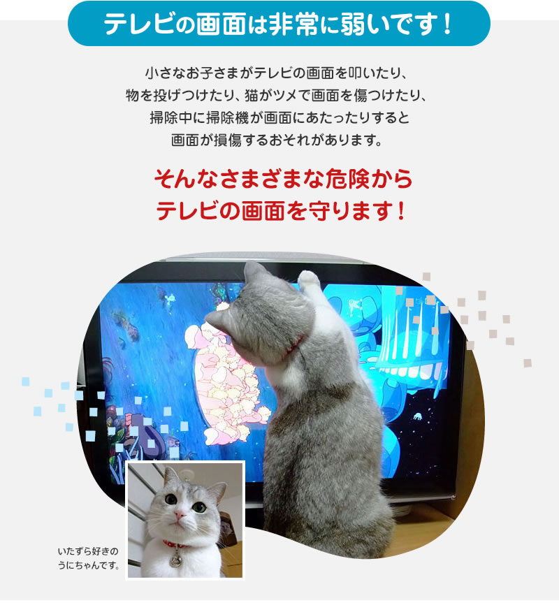 楽天市場】ブルーライトカット 有機ELテレビ保護パネル 55インチ 55型