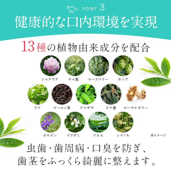 楽天市場】【48％OFF】～3月11日01:59まで ホワイトニング 口臭予防