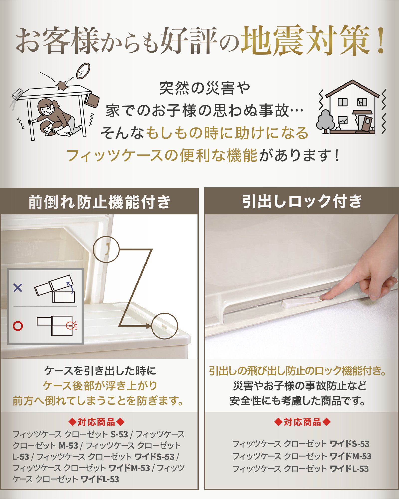 楽天市場】【公式店限定】フィッツケース クローゼット L-53