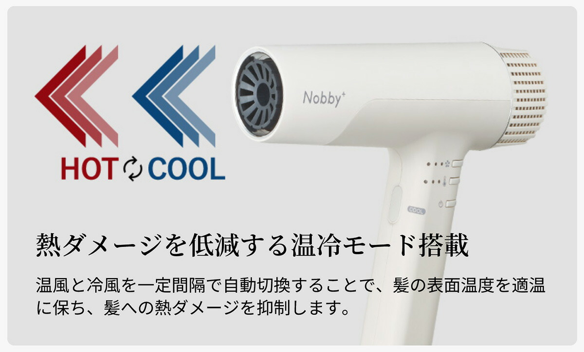楽天市場】【P5倍 3/1限定】 Nobby Plusドライヤー ノビー テスコム