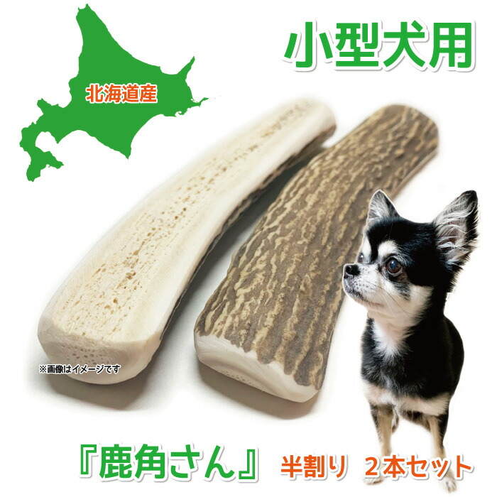 楽天市場】【小型犬用 蝦夷鹿の角】犬のおもちゃ 『鹿角さん』 髄出し