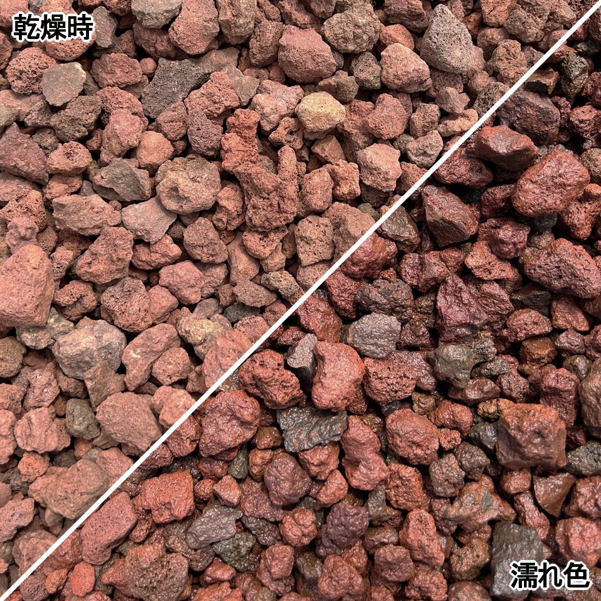 楽天市場】ガーデニング 溶岩 砂利 庭 溶岩石 赤 伊豆赤溶岩 スコリア