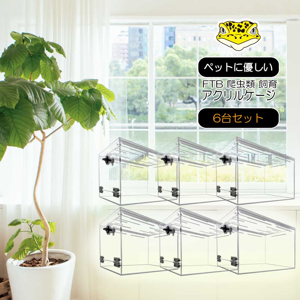 楽天市場】アクリル ケージ レオパの通販