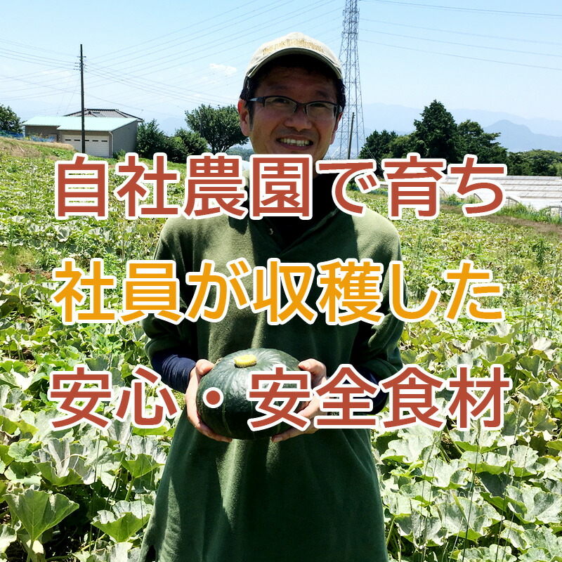 楽天市場】かぼちゃペースト1000g 箱根西麓の自社農園で栽培された三島