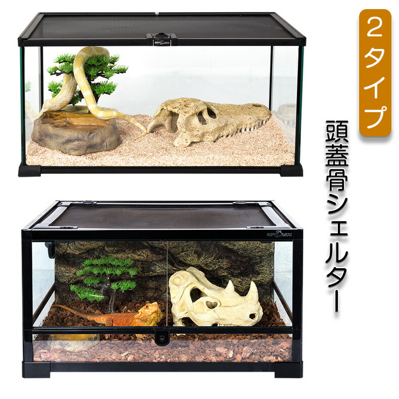 爬虫類 ケージ 飼育 セット 水皿 ヒーター ウェットシェルター バス