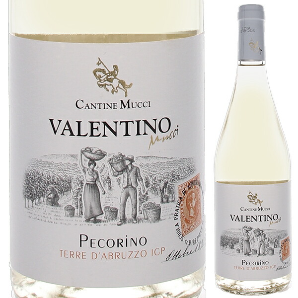 楽天市場】【6本〜送料無料】ペコリーノ テッレ ディ キエーティ 2024