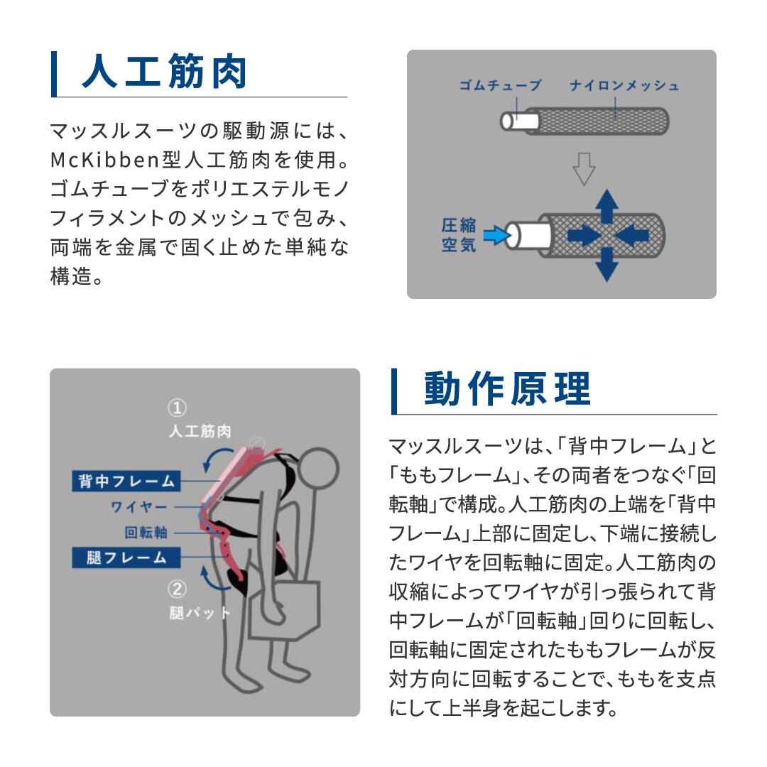 楽天市場】【東和薬品】マッスルスーツEvery タイトM-L 腰の負担軽減