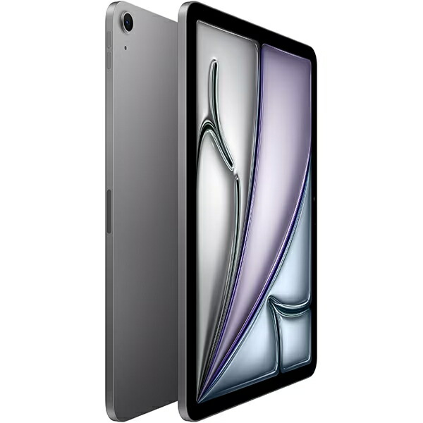 ジャンク品 iPad PRO スペースグレー 11インチ 256GB M4 iPad Pro M4
