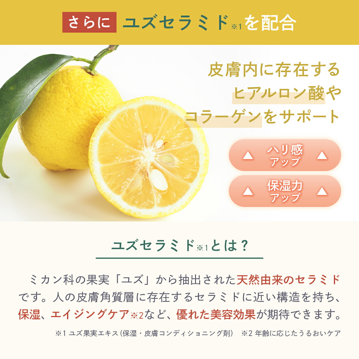楽天市場】ヒト型セラミド クリーム 顔フェイス用【夜用】30g(送料無料