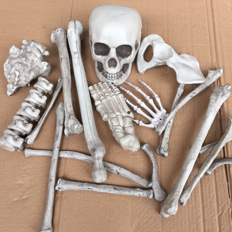 楽天市場】骸骨 28個セット スカル ドクロ ガイコツ ハロウィン 飾り