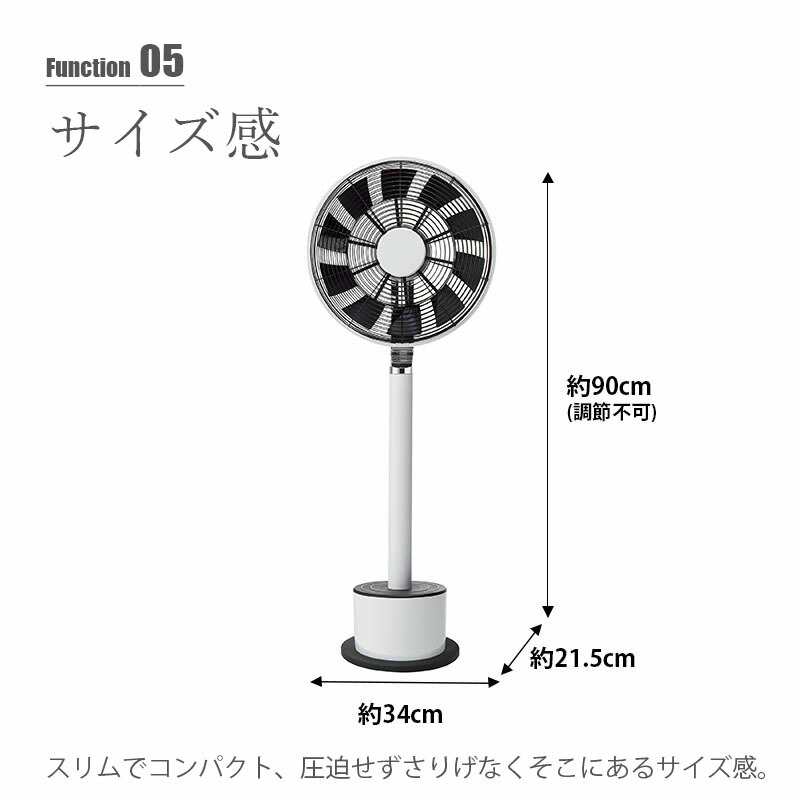 楽天市場】MAINTS マインツ PIROUETTE white ピルエット (ホワイト