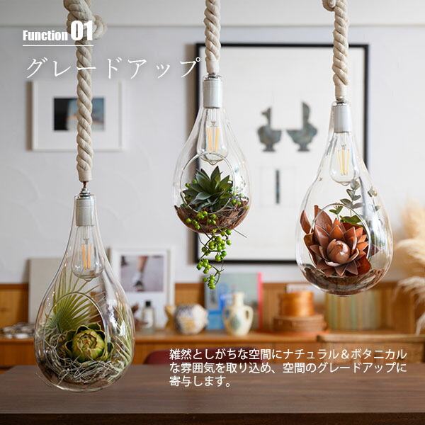 楽天市場】SWAN スワン電器 BOTANIC HANGING LIGHT with FAKEGREEN L