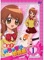 楽天市場】めちゃモテ委員長dvdの通販