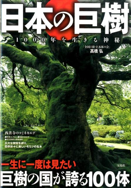 楽天市場】巨幹残栄・忘れられた日本の廃鉱 萩原義弘写真集の通販