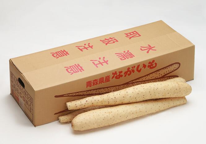 楽天市場】青森県産 長芋 とろろ芋 贈答用 10kg 洗浄済み おがくず