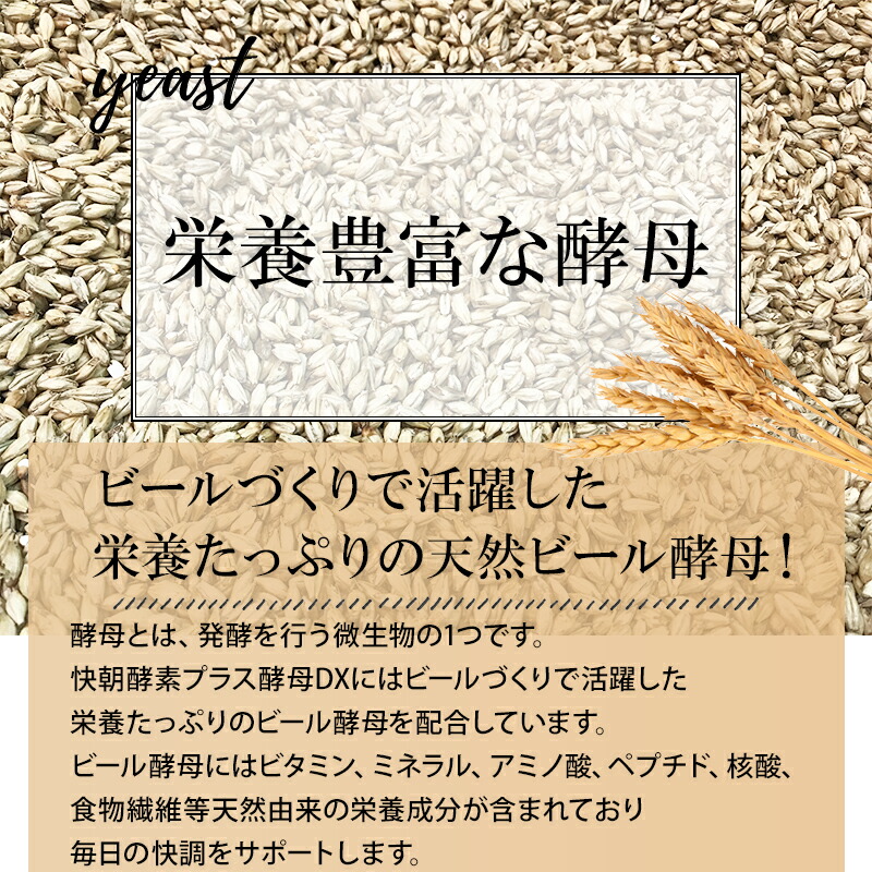 楽天市場】快朝酵素プラス酵母DX 124粒 サプリ ダイエット 乳酸菌 酵素