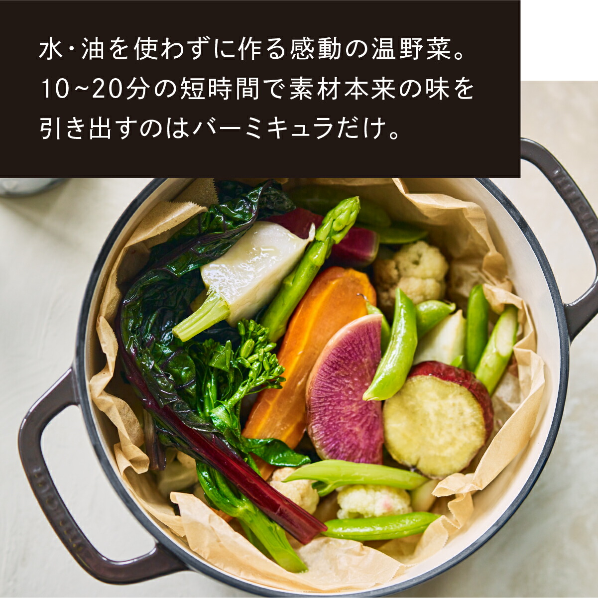 楽天市場】【公式】バーミキュラ オーブンポット2 22cm ヘーゼルナッツ