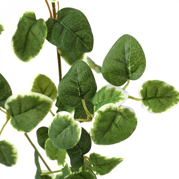 楽天市場】フェイクグリーン 観葉植物 人工観葉植物 造花 壁掛け