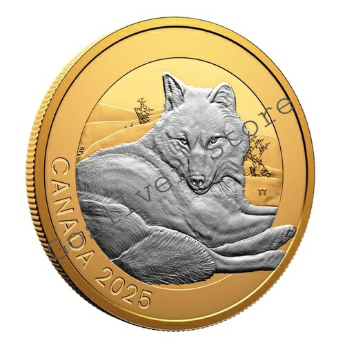 楽天市場】オオカミ 銀貨の通販