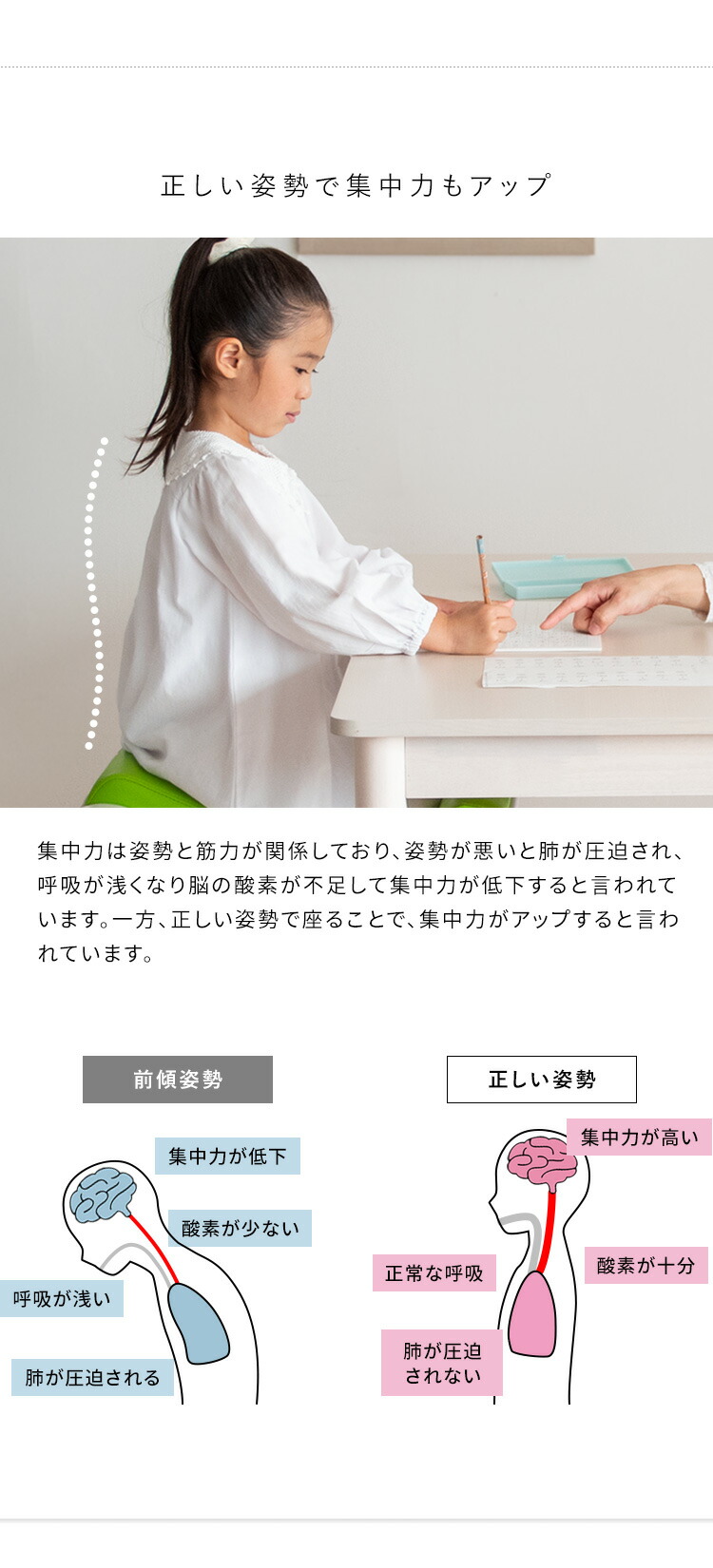 楽天市場】姿勢が良くなる 椅子 プロポーションチェア バランスチェア