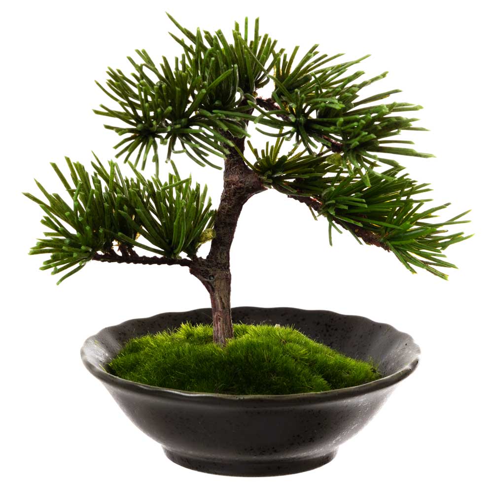 楽天市場】フェイクアート盆栽 然-ZEN- 寸-SUN-ミディアム03 本物を