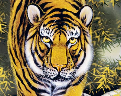 楽天市場】掛け軸 販売 虎 龍 猛虎（上村 修香）?新品掛軸（かけじく