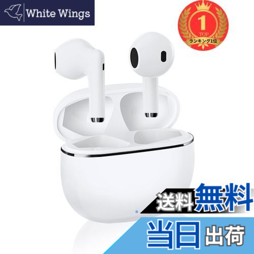 楽天市場】【送料無料】【楽天ランキング1位獲得】【2025年