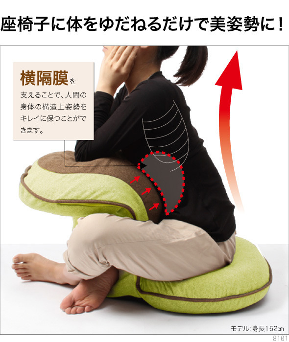 楽天市場】テレビで紹介☆背筋がguuun 美姿勢座椅子 リッチ RICH