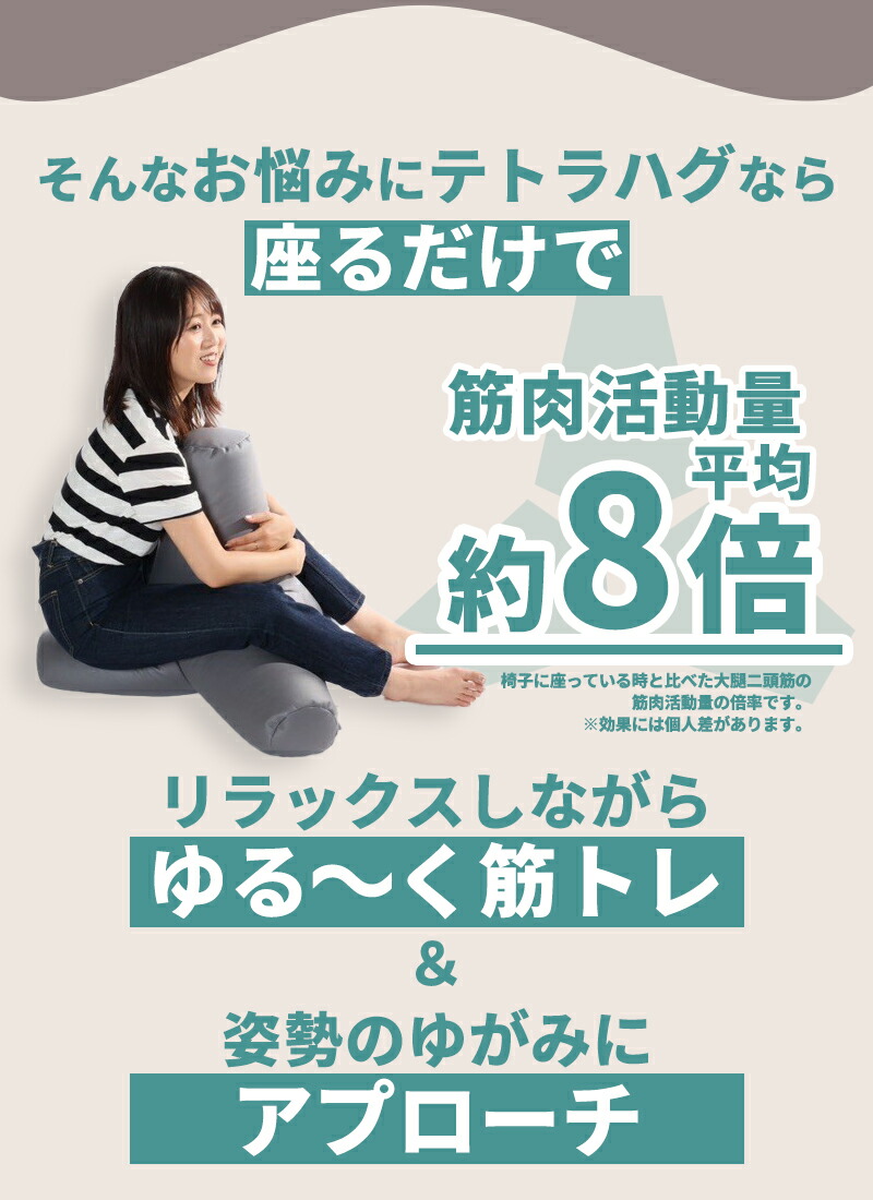 楽天市場】テトラ ハグ ゆる筋トレ ビーズクッション レザー