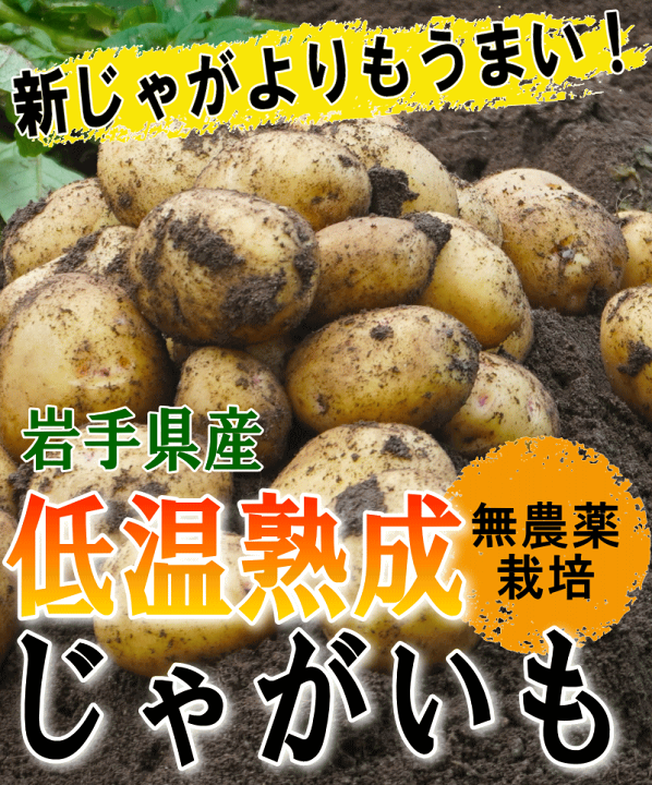 楽天市場】じゃがいも 10kg 無農薬栽培 送料無料岩手県産 男爵