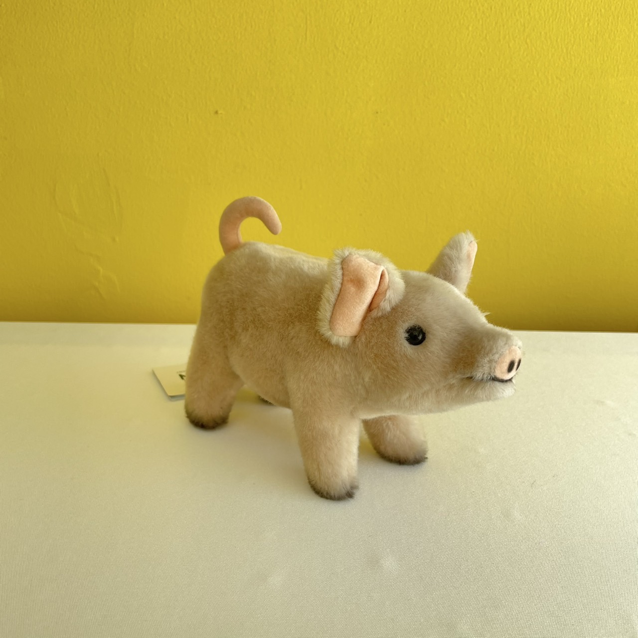 楽天市場】ケーセン社 ぶたの通販