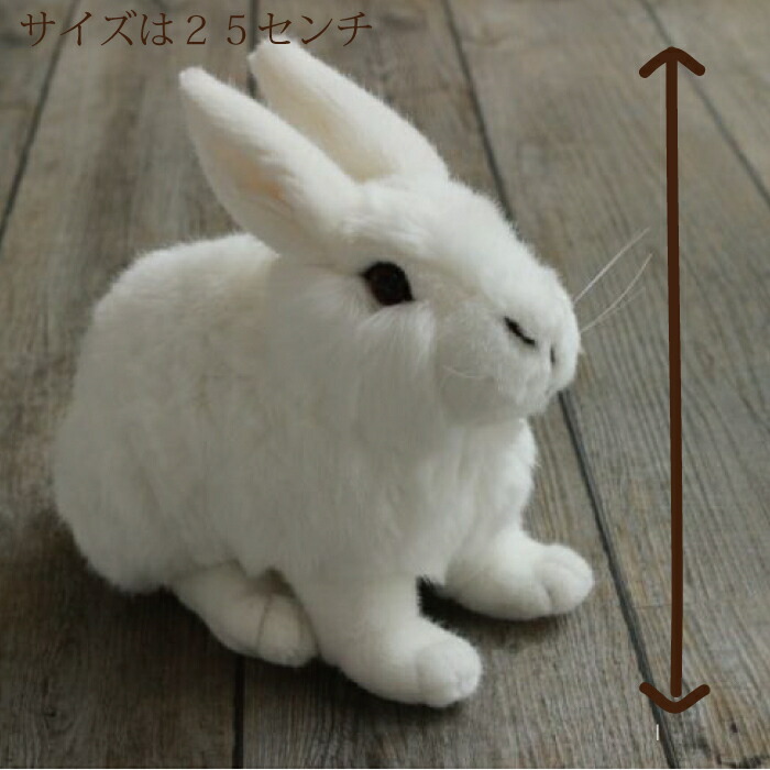 楽天市場】しろいうさぎ ぬいぐるみ 上質 ケーセン 小さい 可愛い