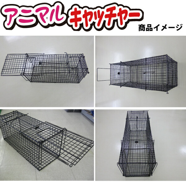 楽天市場】シンセイ アニマルキャッチャーLサイズ TA-36 【北海道