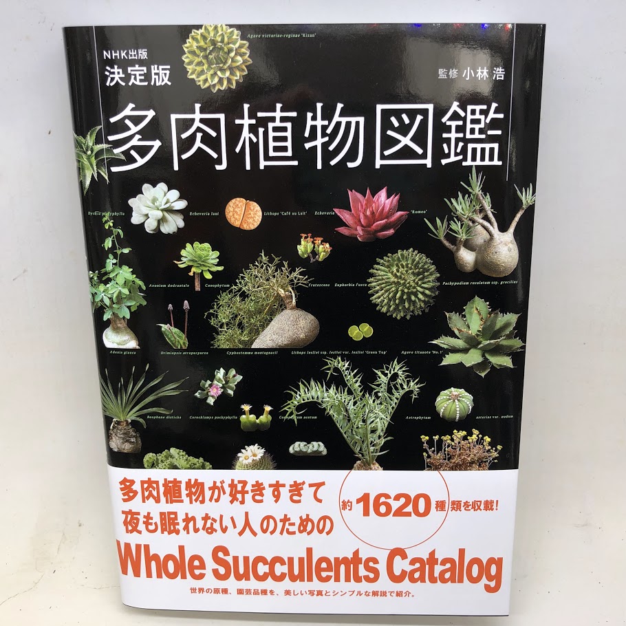 楽天市場】本：決定版 多肉植物図鑑*資材 : 遊恵盆栽 楽天市場店