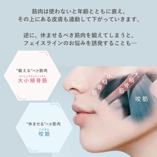 楽天市場】【20%オフ☆3/4 20:00から3/11 1:59まで】美顔器