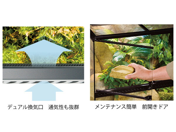 楽天市場】【3/1限定☆3点購入でP20倍チャンス】GEX グラステラリウム