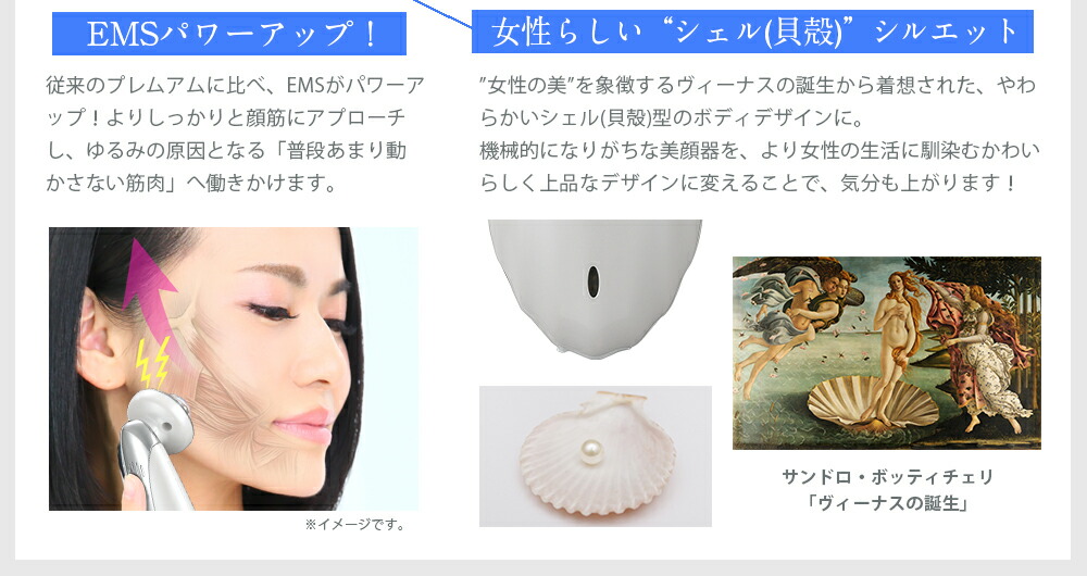 楽天市場】【 月末セール18700→9350円】【楽天ランキング受賞】EMS