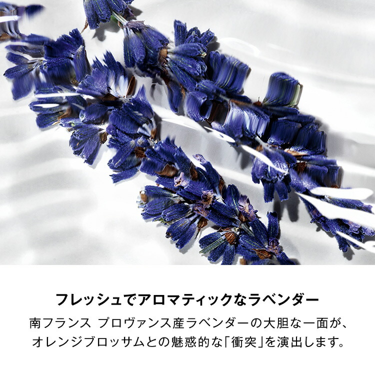 楽天市場】【公式】リブレ ロー ニュ / 50mL / 香水 フレグランス