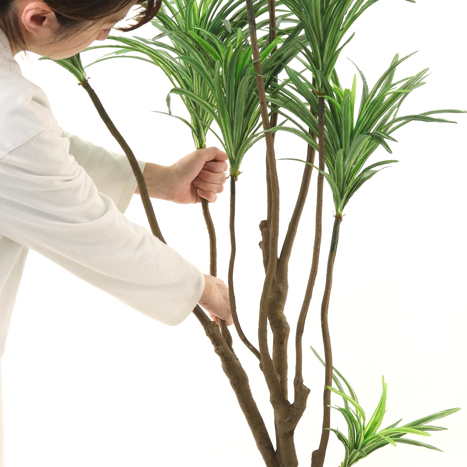 楽天市場】No8182 プレミアム光触媒フェイクグリーン 「枝を自由に曲げ