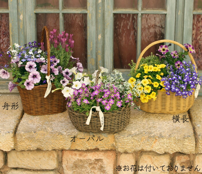 楽天市場】リボン付き ガーデン バスケット 簡単 手軽 ビニール製 寄せ