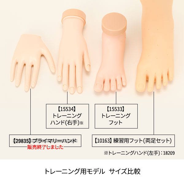 楽天市場】ネイル ハンド 練習 トレーニングハンド 右手 練習用 手 指