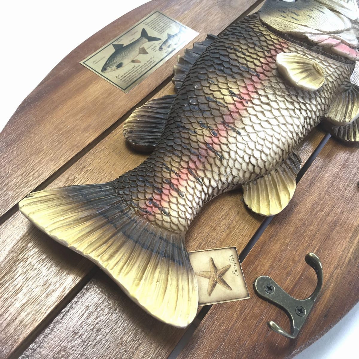 楽天市場】ブラックバス 壁掛け (40cm×24cm) レプリカ 模型 フィギュア