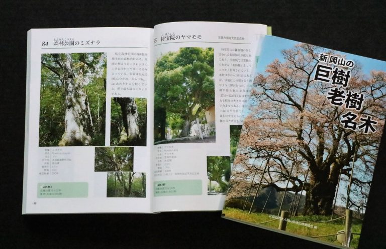 シネマライター・鷹取洋二さん『消えた映画館を探して〜おかやま、昭和