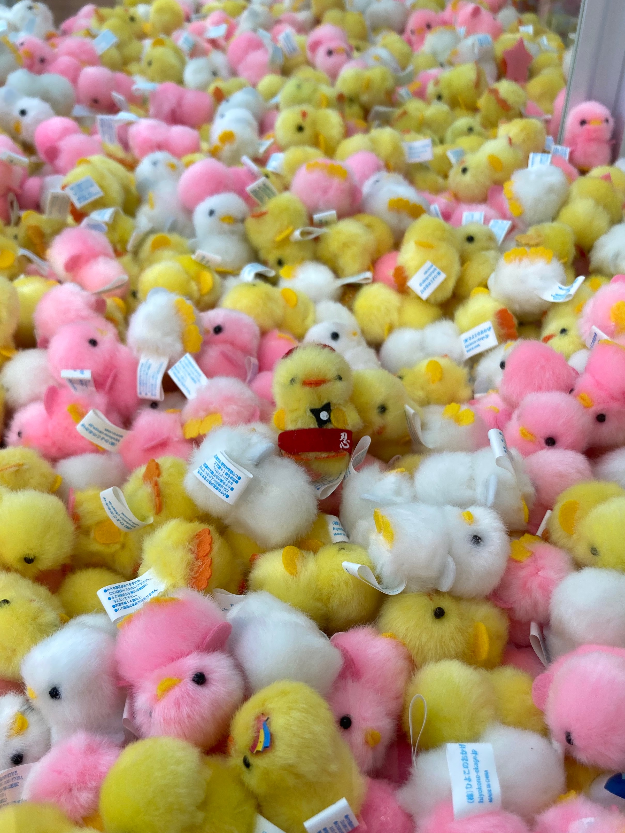 🐤ゲーム機のご紹介🐤 | #C-pla | ショップブログ | 津田沼ビート