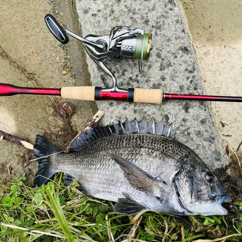 実際に買って本音レビュー】18ワールドシャウラ2701FF-2【適正ルアー