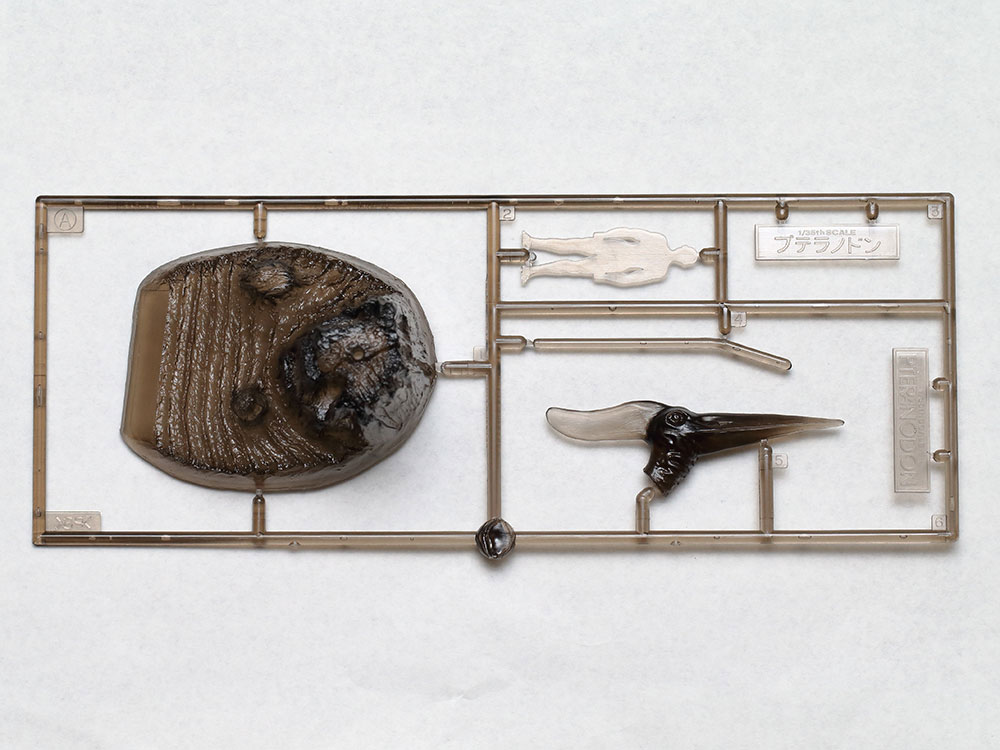 60204 1/35恐竜シリーズ プテラノドン【60204:4950344080052】｜タミヤ