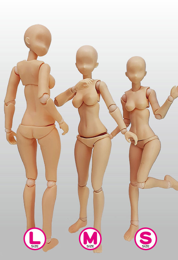 関節技EX 1/12素材ちゃんS フレッシュ【PPC-T134:4534966004698