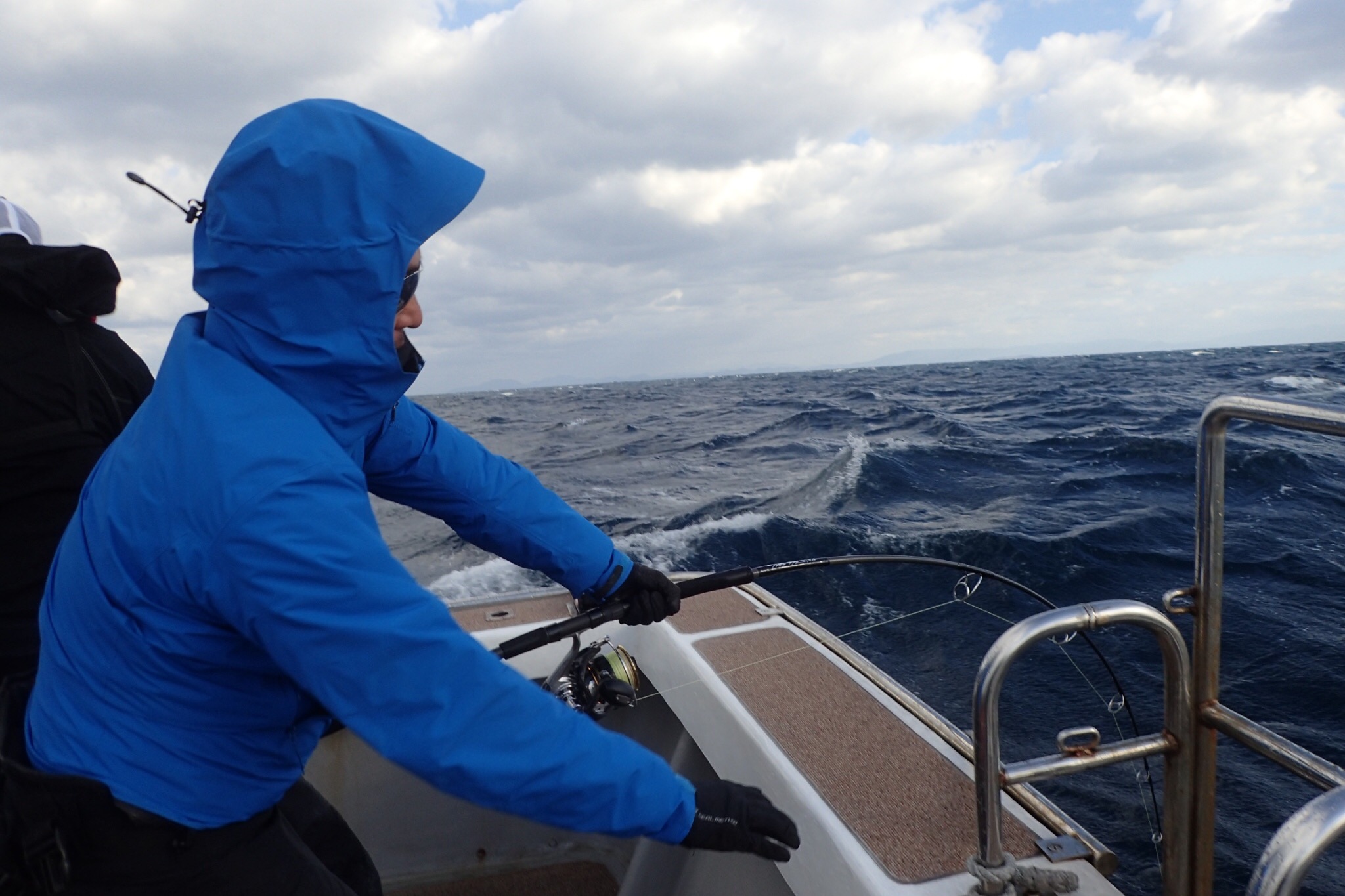 WhiteInsight 8010 | TRUTH JAPAN